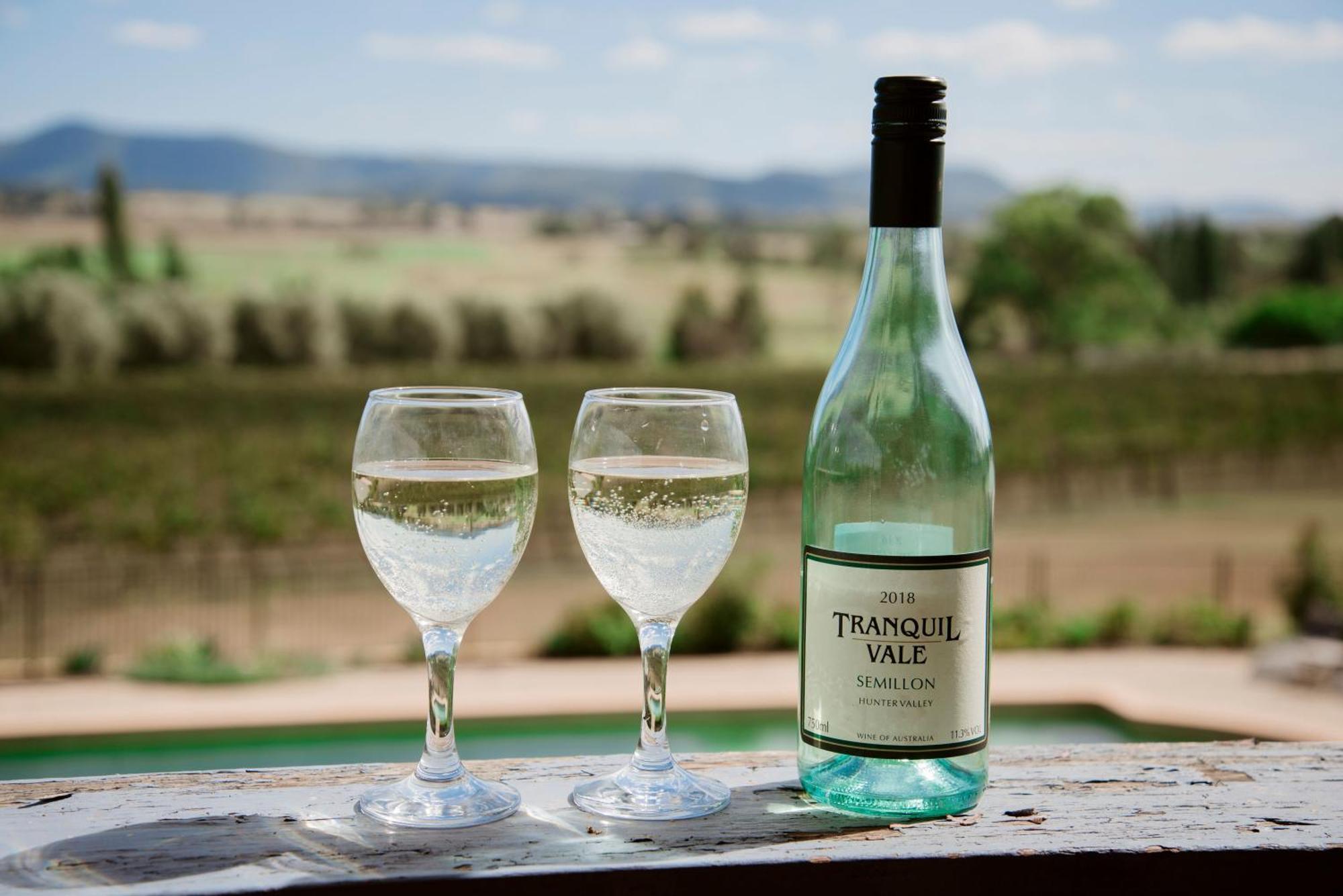 Hotel Tranquil Vale Vineyard à Luskintyre Extérieur photo