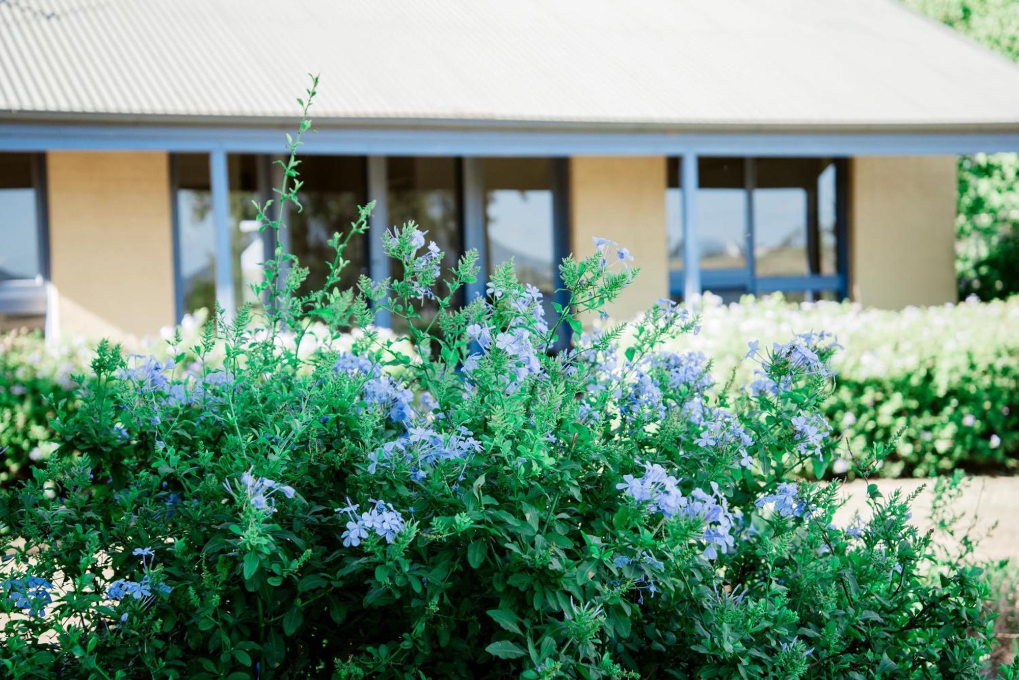 Hotel Tranquil Vale Vineyard à Luskintyre Extérieur photo