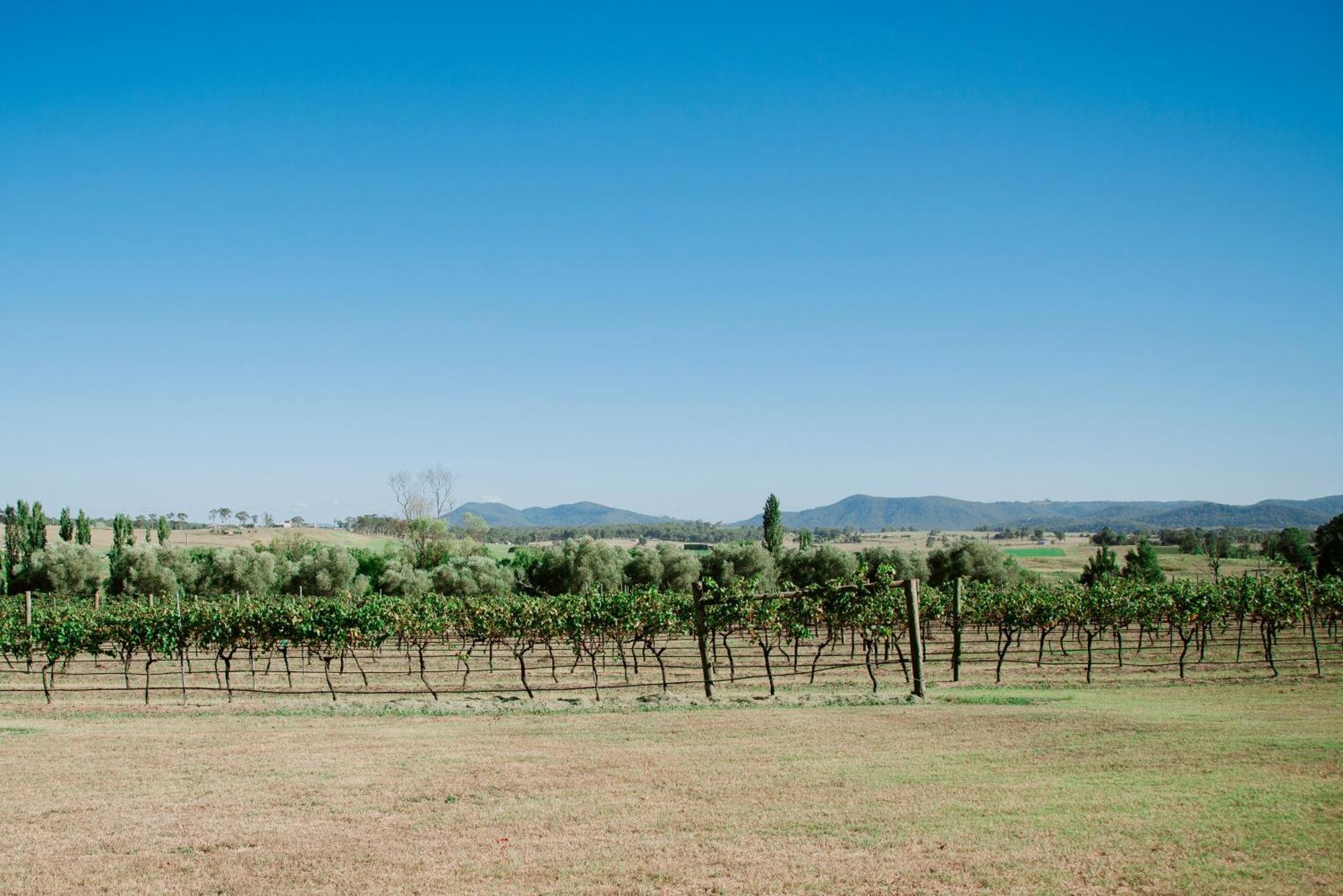 Hotel Tranquil Vale Vineyard à Luskintyre Extérieur photo