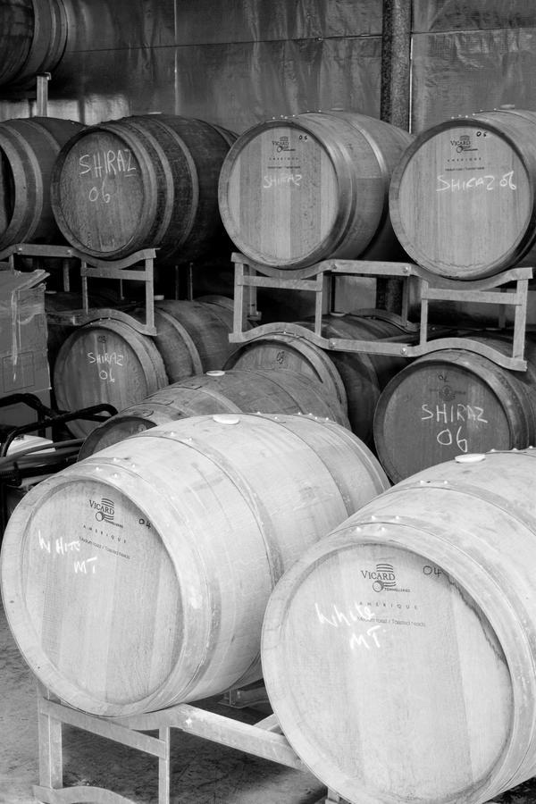 Hotel Tranquil Vale Vineyard à Luskintyre Extérieur photo