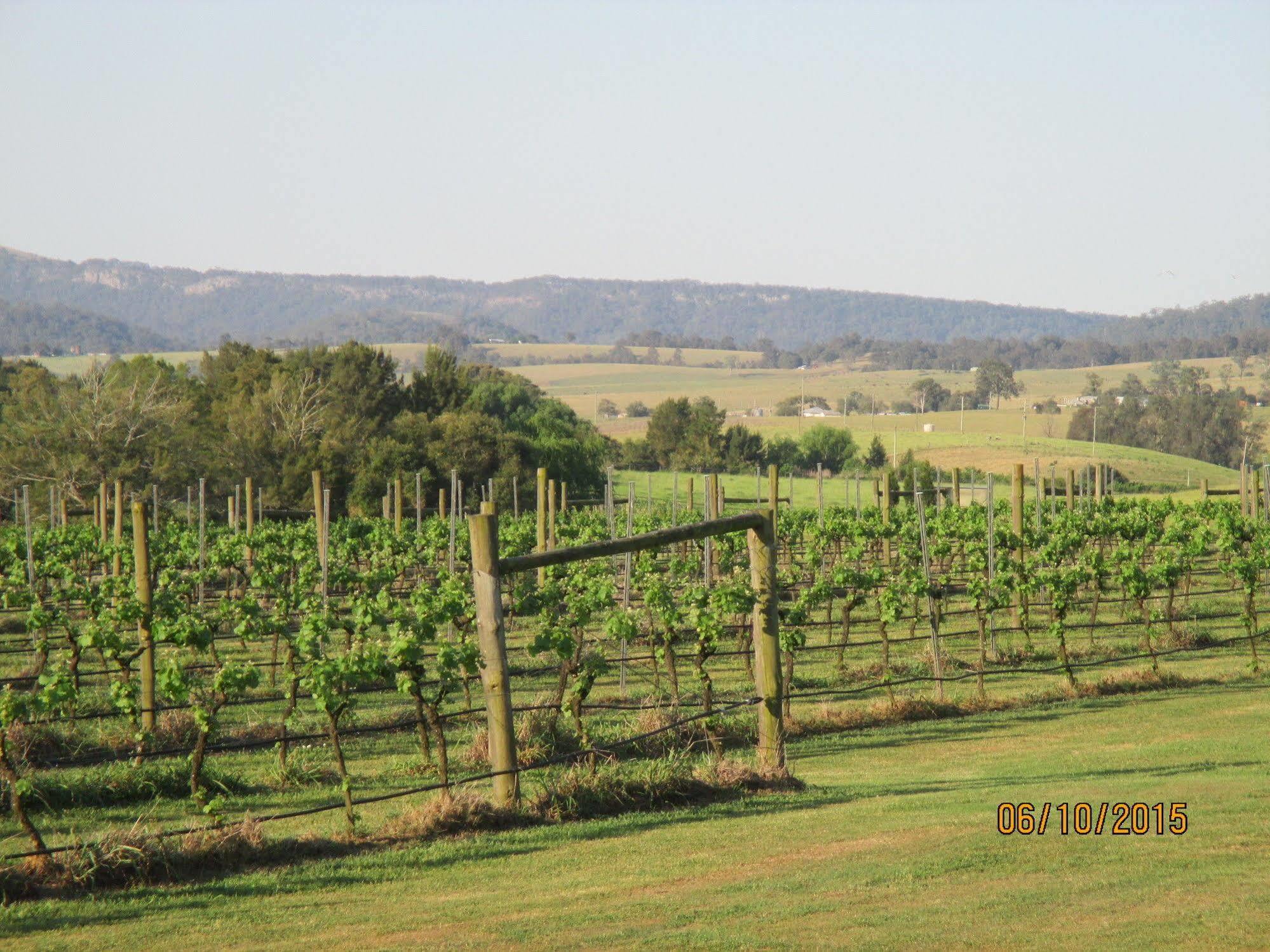 Hotel Tranquil Vale Vineyard à Luskintyre Extérieur photo